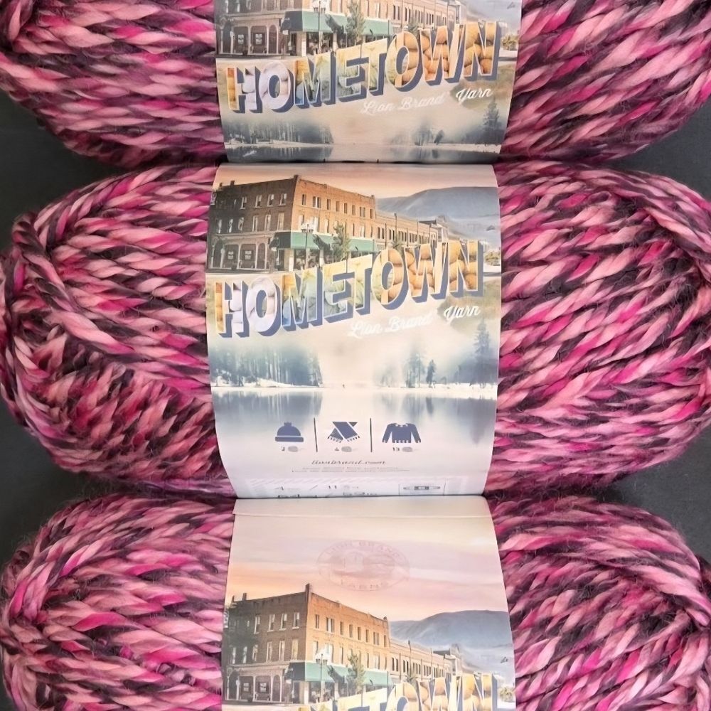 3 NIP SKEINS LION BRAND YARNS HOMETOWN ELMER CITY DANCE